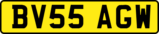 BV55AGW