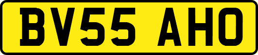 BV55AHO