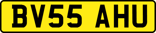 BV55AHU