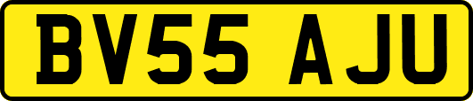 BV55AJU