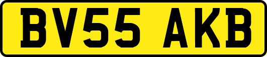 BV55AKB
