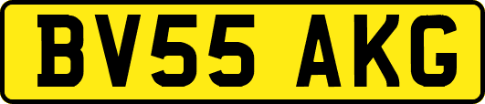 BV55AKG