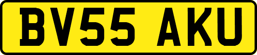 BV55AKU