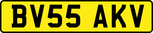 BV55AKV