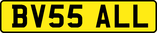 BV55ALL