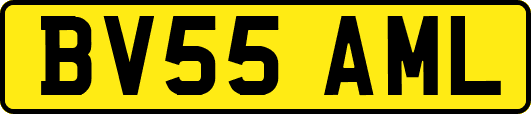 BV55AML