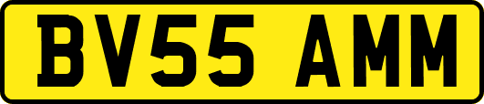 BV55AMM