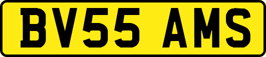 BV55AMS