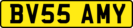 BV55AMY
