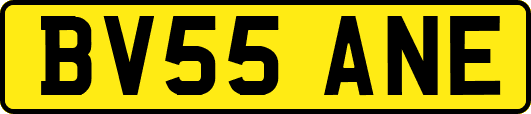 BV55ANE