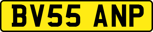 BV55ANP