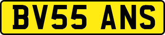 BV55ANS