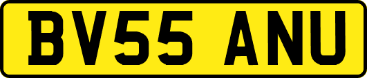BV55ANU