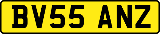 BV55ANZ