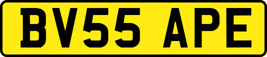 BV55APE