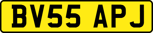 BV55APJ