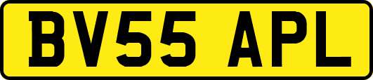 BV55APL