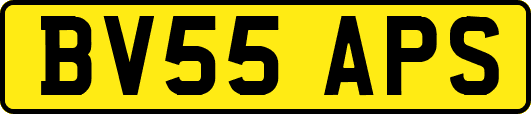 BV55APS