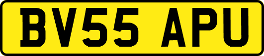 BV55APU