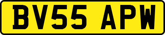 BV55APW