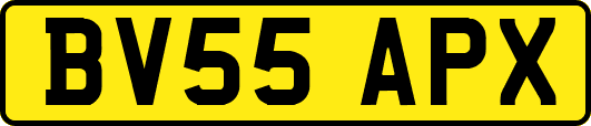 BV55APX
