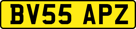 BV55APZ