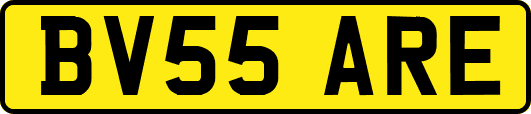 BV55ARE