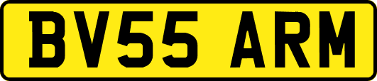 BV55ARM