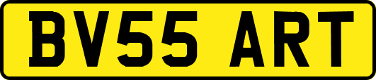 BV55ART