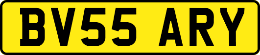 BV55ARY