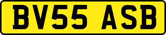 BV55ASB