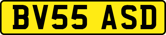 BV55ASD