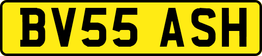 BV55ASH