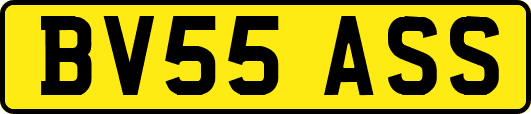BV55ASS