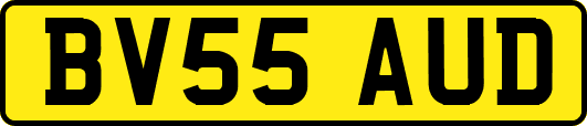 BV55AUD