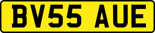 BV55AUE