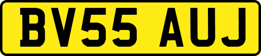 BV55AUJ