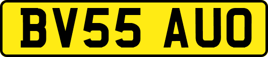 BV55AUO