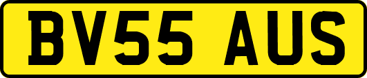 BV55AUS