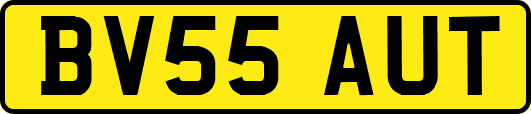 BV55AUT