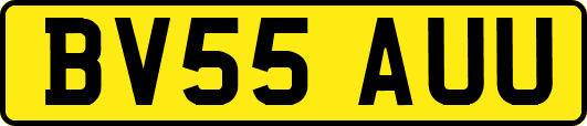 BV55AUU