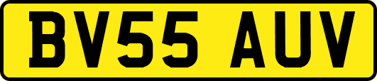 BV55AUV