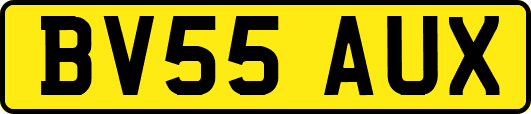 BV55AUX