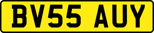 BV55AUY