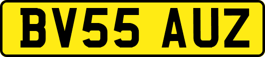 BV55AUZ