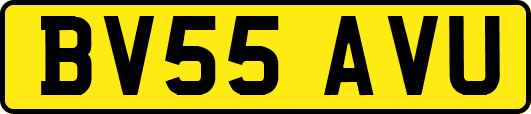 BV55AVU