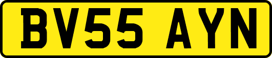 BV55AYN