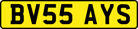 BV55AYS