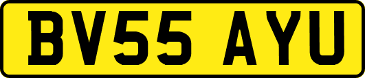 BV55AYU