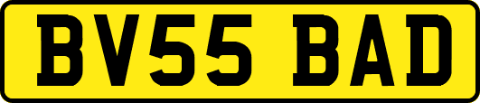 BV55BAD